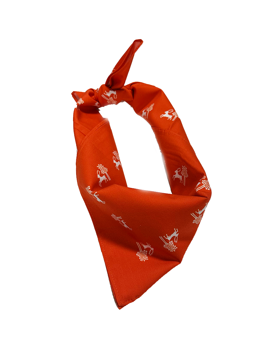 FAY WILDHAGEN BANDANA